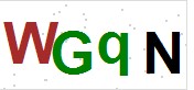 看不到验证码？点击重新换一个！