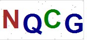 看不到验证码？点击重新换一个！