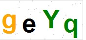 看不到验证码？点击重新换一个！